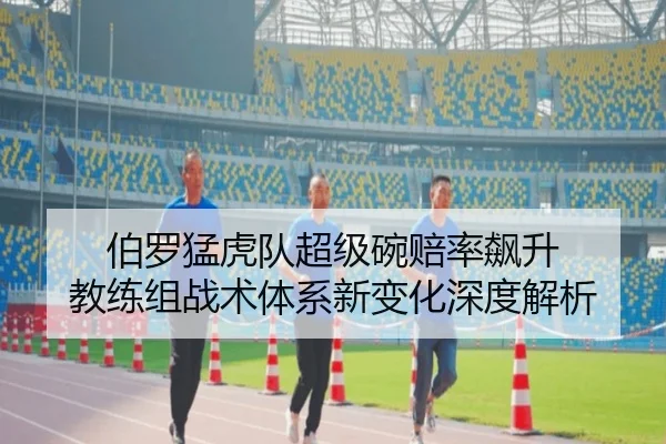 bo-luo-meng-hu-dui-chao-ji-wan-pei-lv-biao-sheng-jiao-lian-zu-zhan-shu-ti-xi-xin-bian-hua-shen-du-jie-xi-2-522.jpg
