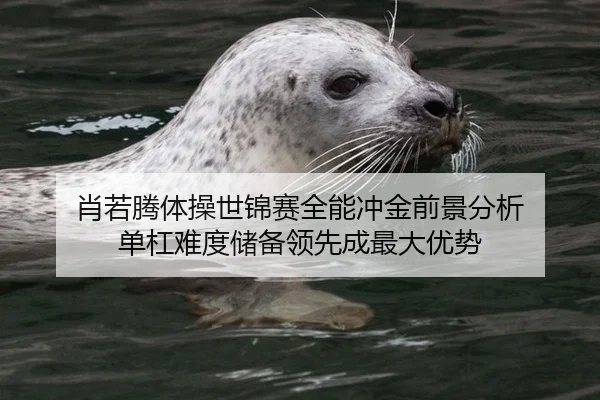 肖若腾体操世锦赛全能冲金前景分析 单杠难度储备领先成最大优势