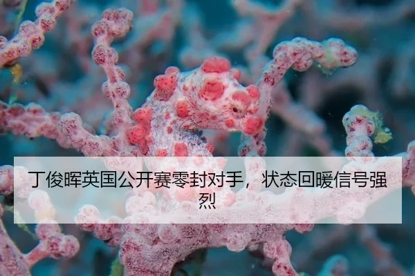 丁俊晖英国公开赛零封对手，状态回暖信号强烈