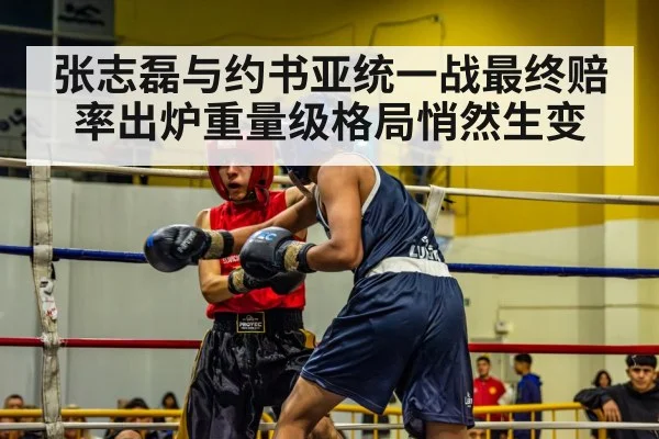 张志磊与约书亚统一战最终赔率出炉重量级格局悄然生变