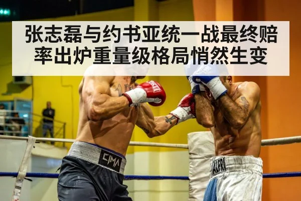 heavyweight boxing fight